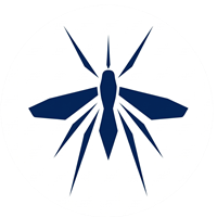 mosquito